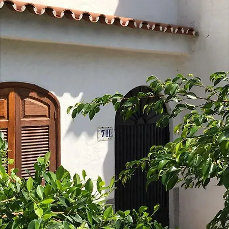 La Palmera1 Casa Al Primer Piso Con 2 - Two Bedroom House On The First Floor --- La Palmera 2 Casa En Planta Baja Con 1 Dormitorio, One Bedroom House On The Ground Floor * Agaete (Gran Canaria)
